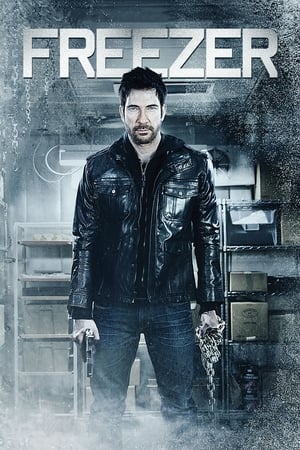Freezer (2014) Dual Audio | Dubbed Hindi Movie BluRay 250MB