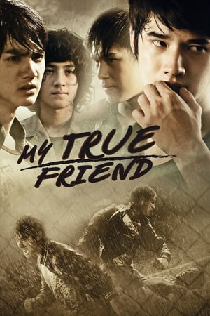Friends Never Die (2012) dual Audio | Dubbed Hindi Movie HDRip 340MB
