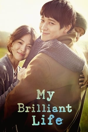 My Brilliant Life (2014) Dual Audio HDRip | Dubbed Hindi Movie – 720p – 480p